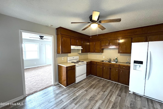 kitchen with white appliances, wood finished floors, a ceiling fan, a sink, and under cabinet range hood