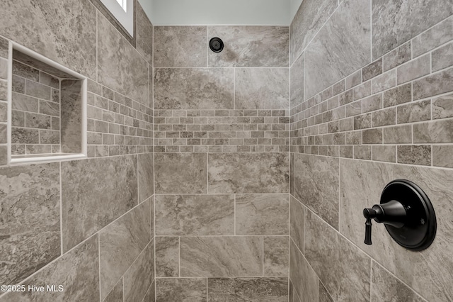 room details with tiled shower