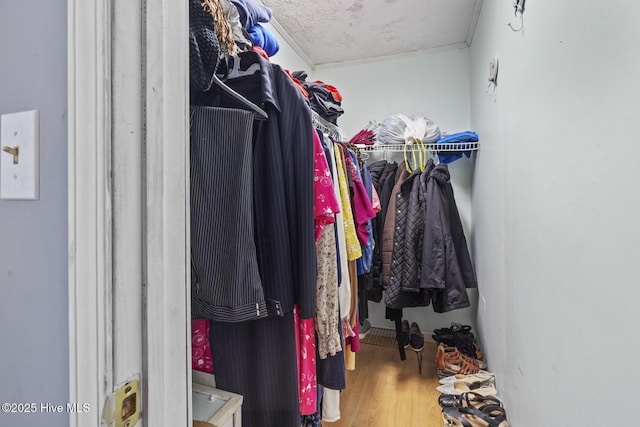 spacious closet with wood finished floors