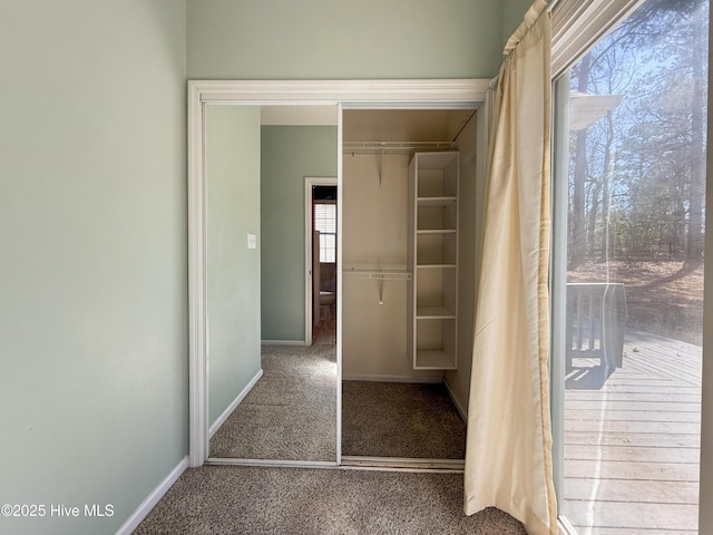 view of closet