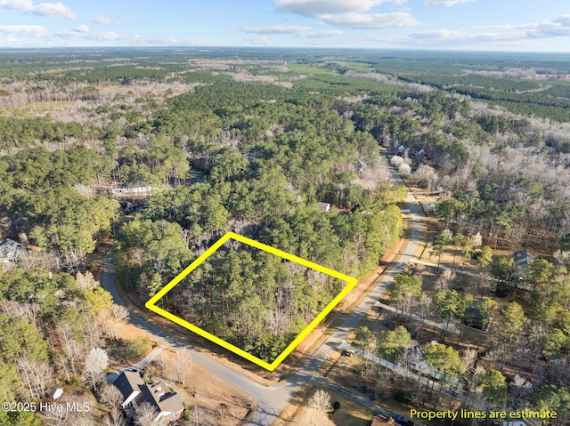 118 Wildflower Way Unit 42, Pollocksville, NC 28573