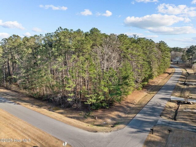 118 Wildflower Way Unit 42, Pollocksville, NC 28573
