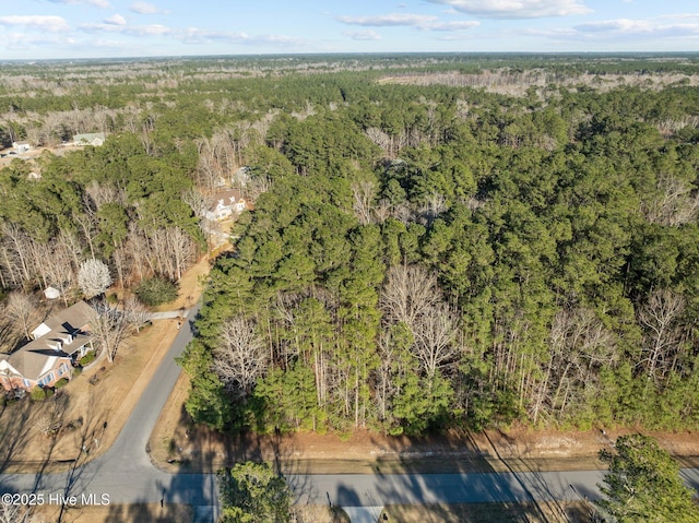 118 Wildflower Way Unit 42, Pollocksville, NC 28573