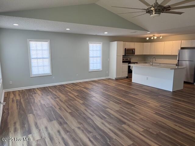 kitchen with dark wood-type flooring, open floor plan, and appliances with stainless steel finishes