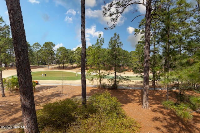 view of community with view of golf course