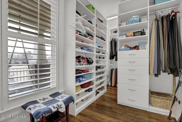 walk in closet featuring wood finished floors