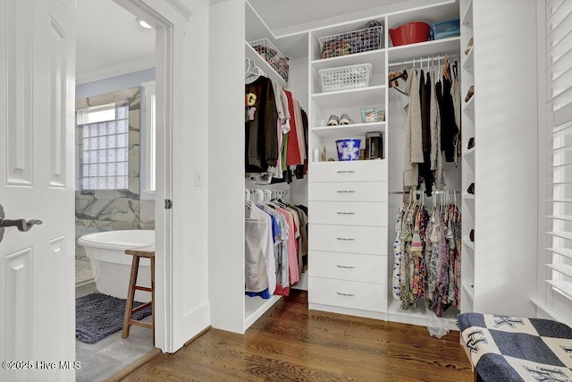 walk in closet with wood finished floors