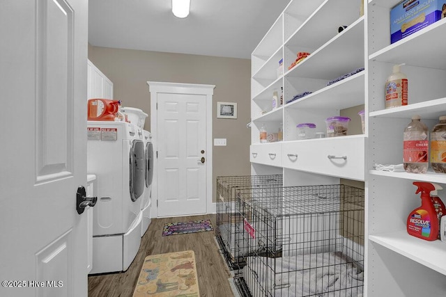 laundry room featuring dark wood-style floors, laundry area, and independent washer and dryer