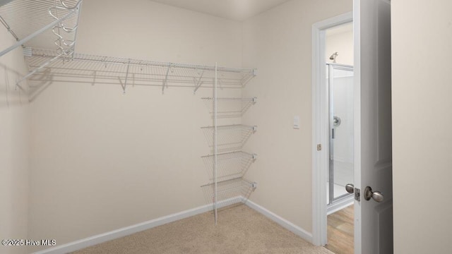 walk in closet with light colored carpet