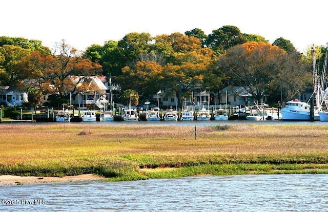 view of home's community with a water view