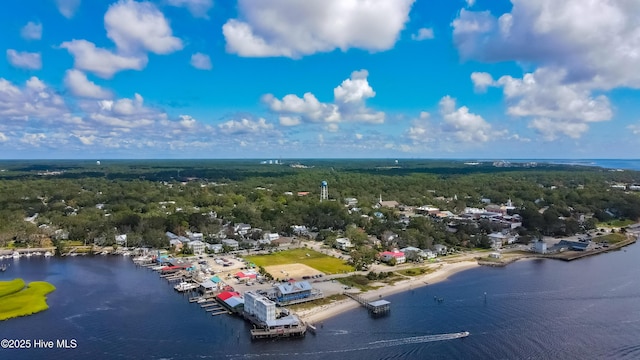 bird's eye view featuring a water view