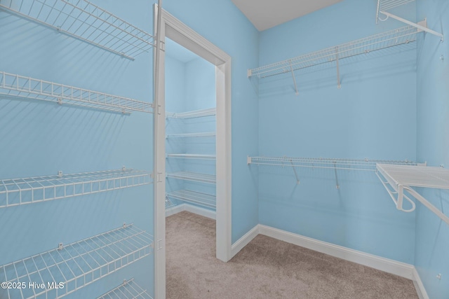 walk in closet with carpet flooring