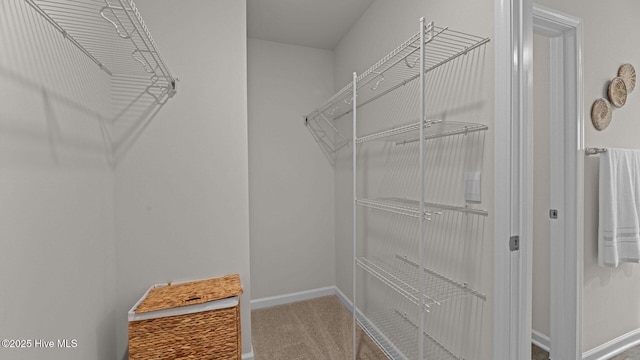 walk in closet with carpet