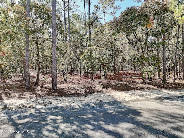 Listing photo 3 for 561 Del Sol Cir SE Unit 484, Bolivia NC 28422