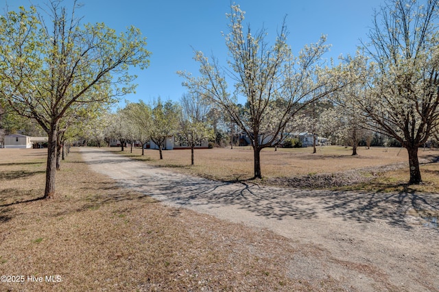 view of street with dirt driveway