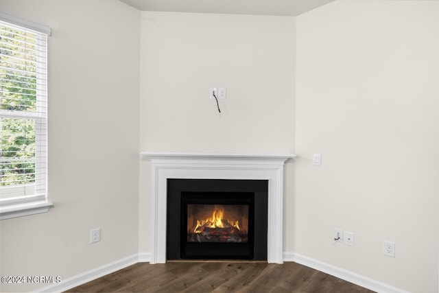 room details with a glass covered fireplace, baseboards, and wood finished floors