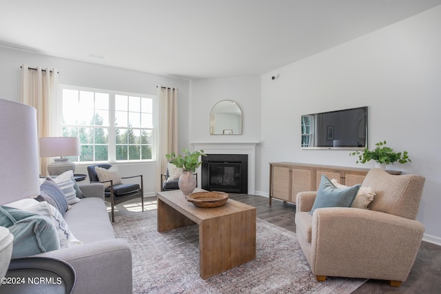 living area with a glass covered fireplace, baseboards, and wood finished floors