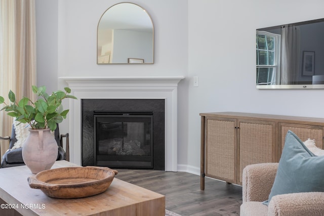 interior space featuring a glass covered fireplace and wood finished floors