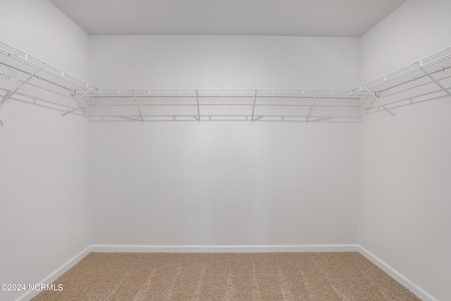 spacious closet with carpet