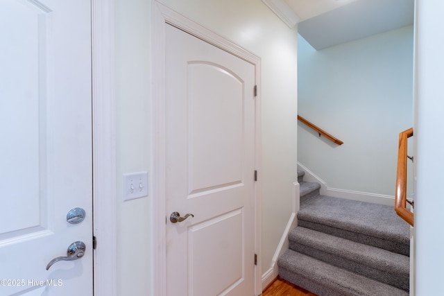 stairway featuring baseboards and carpet floors