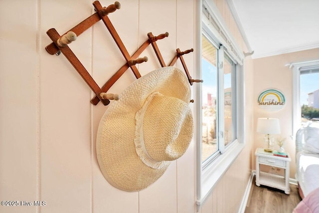 room details with crown molding, wood finished floors, and baseboards