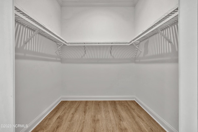 spacious closet featuring wood finished floors