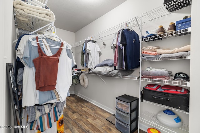 walk in closet featuring wood finished floors