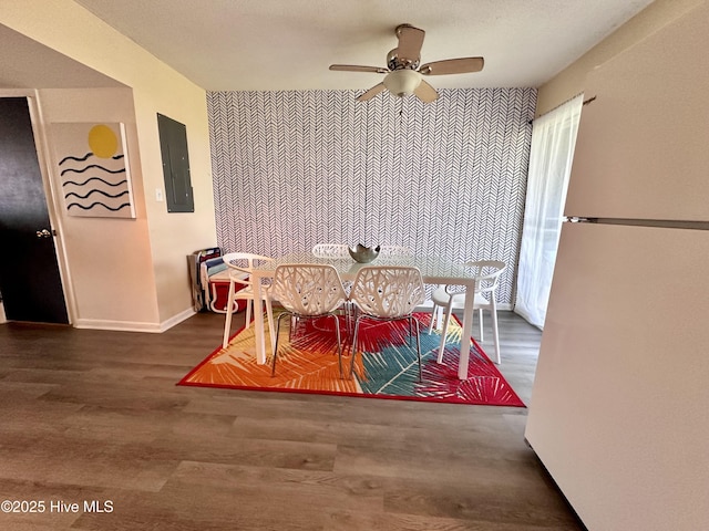 dining room featuring wood finished floors, baseboards, electric panel, ceiling fan, and an accent wall