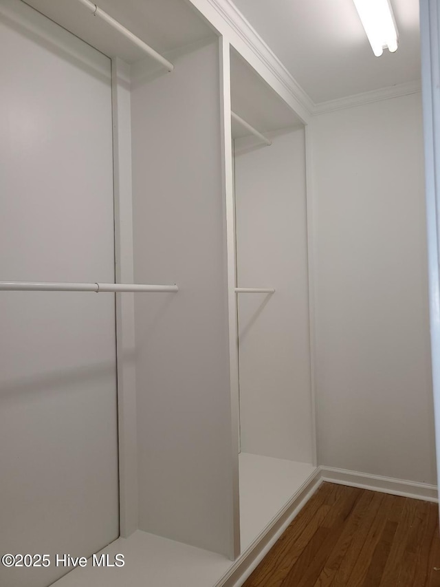 walk in closet featuring wood finished floors