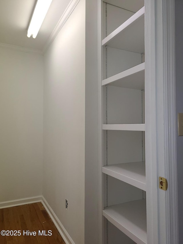 interior space with wood finished floors