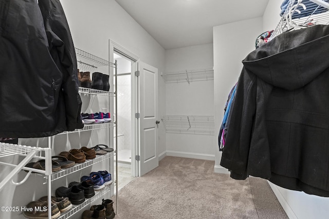 walk in closet featuring carpet flooring