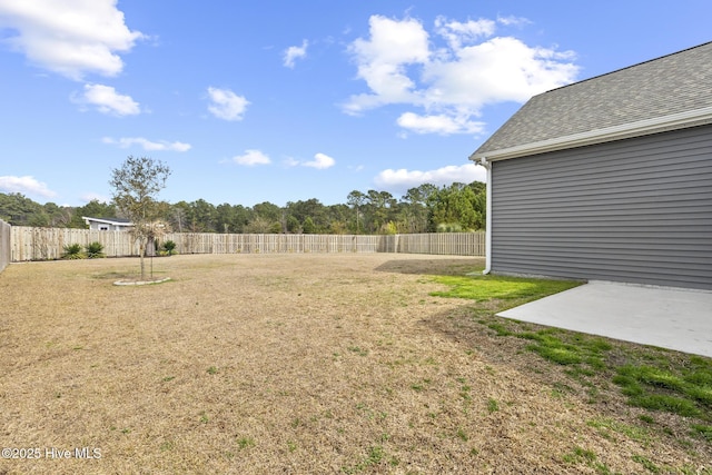 view of yard featuring a patio and a fenced backyard