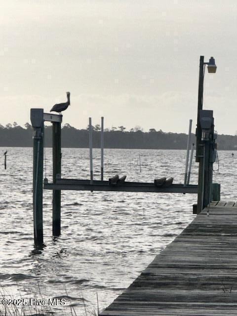 dock area with boat lift and a water view