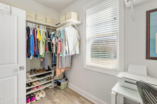 walk in closet featuring wood finished floors