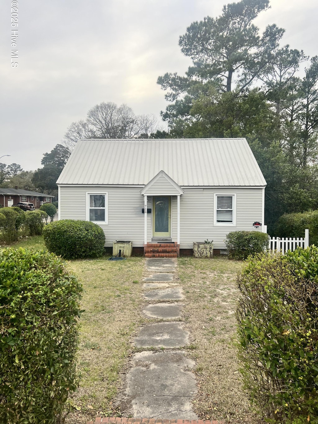 view of front facade featuring metal roof and entry steps