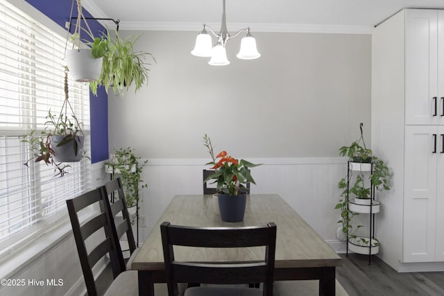 dining room featuring a notable chandelier, wood finished floors, a wainscoted wall, and ornamental molding