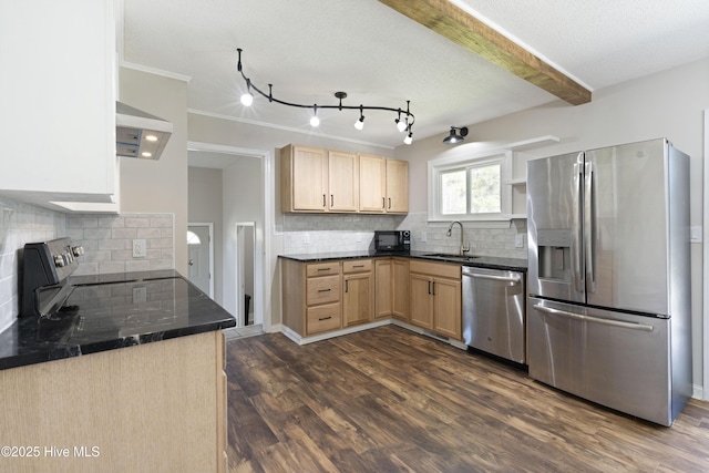 kitchen with light brown cabinetry, a sink, open shelves, dark wood-style floors, and stainless steel appliances