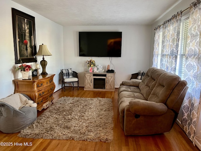 living area featuring wood finished floors and a textured ceiling