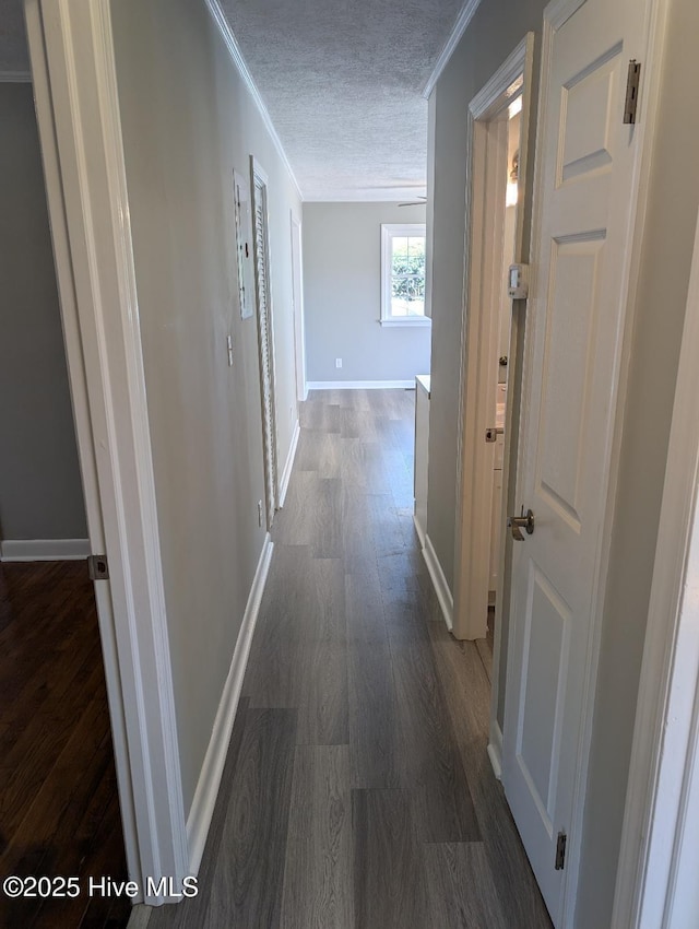 corridor featuring dark wood-type flooring, ornamental molding, and a textured ceiling