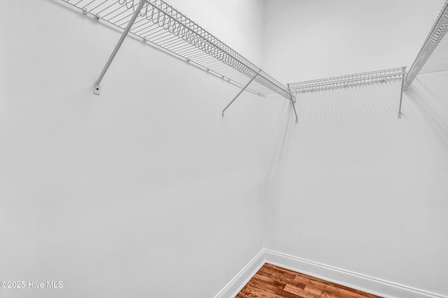 spacious closet featuring wood finished floors