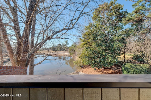 view of water feature