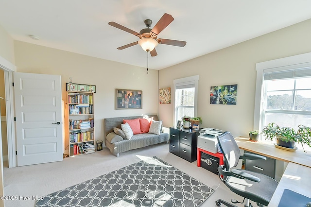 office space with ceiling fan and carpet flooring