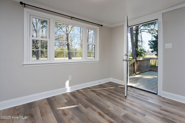 unfurnished dining area featuring baseboards, wood finished floors, and plenty of natural light