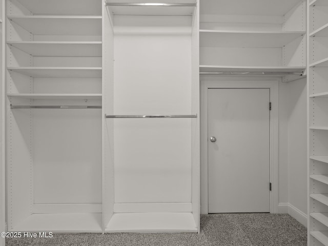 spacious closet featuring carpet