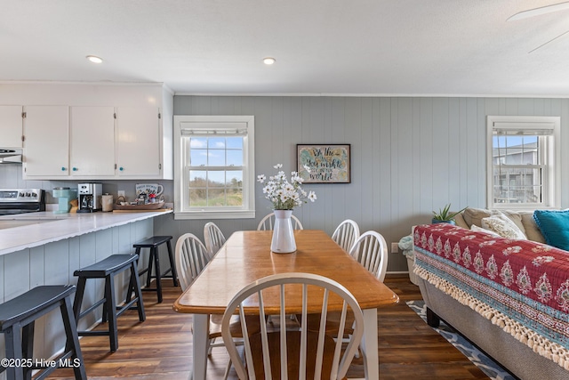 dining room featuring dark wood-type flooring and recessed lighting