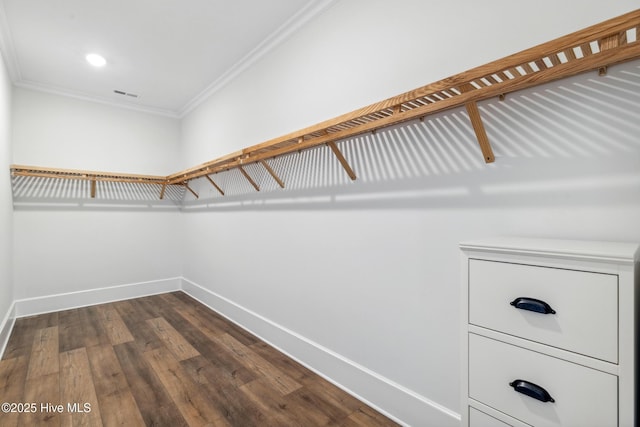 spacious closet with visible vents and dark wood-style floors