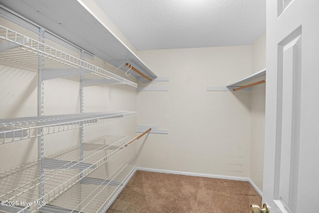 walk in closet featuring carpet floors