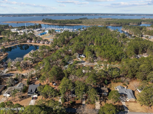 bird's eye view featuring a water view