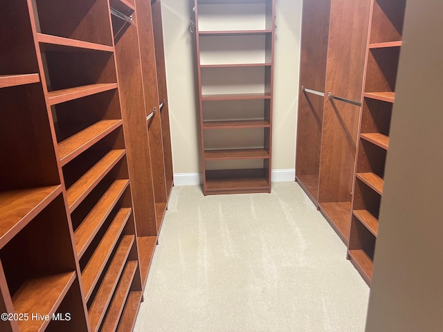 1905 Staunton Ct, Wilmington, NC 28405 - walk in closet with carpet floors