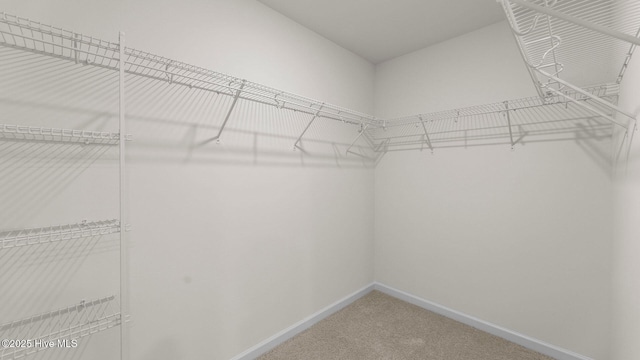 walk in closet with light colored carpet